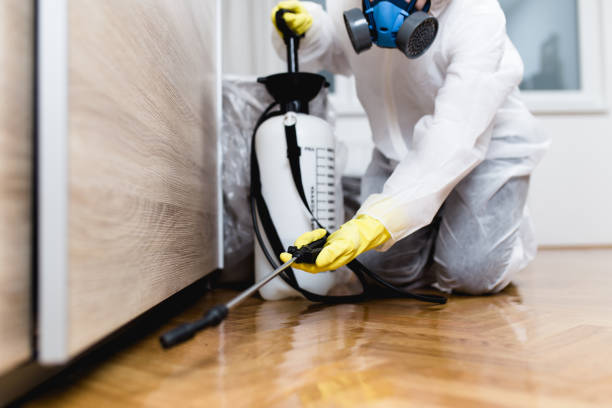 Best Pest Control Near Me in Churchville, PA