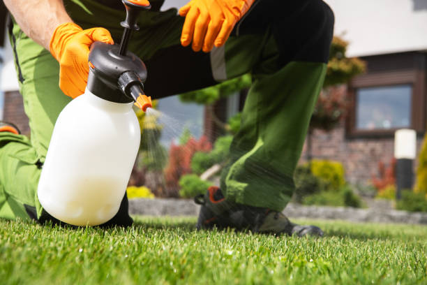 Flea Control Services in Churchville, PA