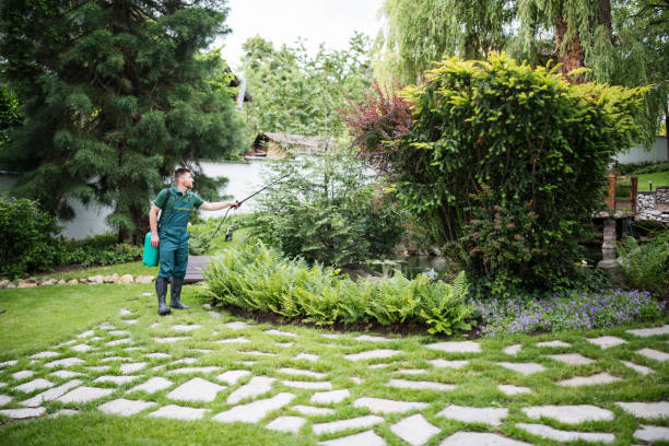 Reliable Churchville, PA Pest Control Solutions
