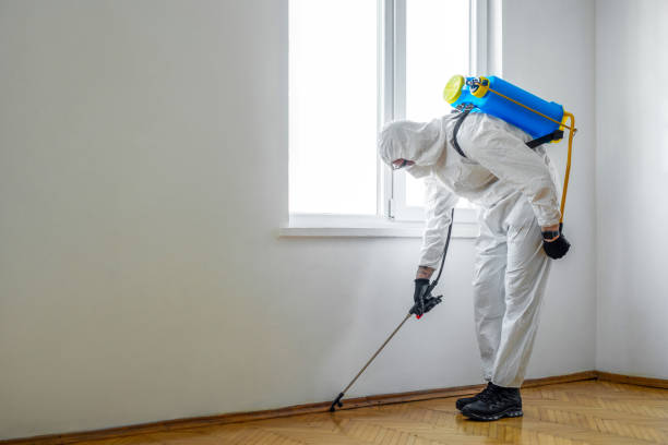 Wildlife Control Services in Churchville, PA