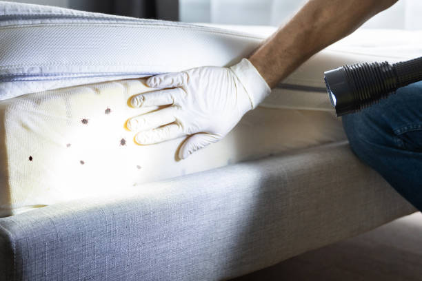 Best Pest Inspection Near Me  in Churchville, PA
