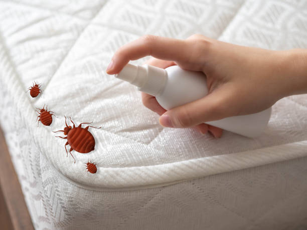 Best Pest Prevention Services  in Churchville, PA