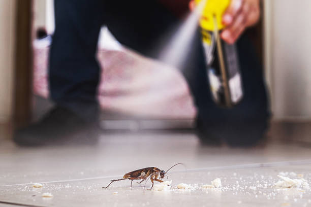 Best Residential Pest Control  in Churchville, PA