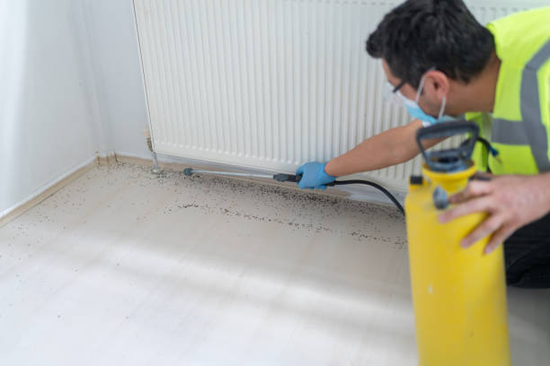 Best Pest Control for Homes  in Churchville, PA